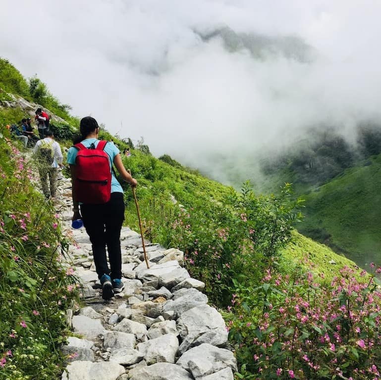 valley of flowers