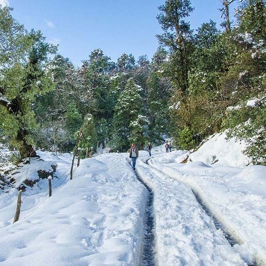 chopta
