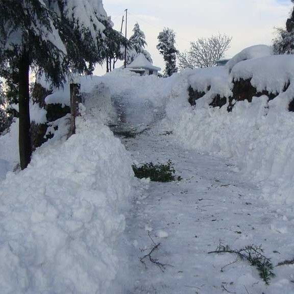 dhanaulti